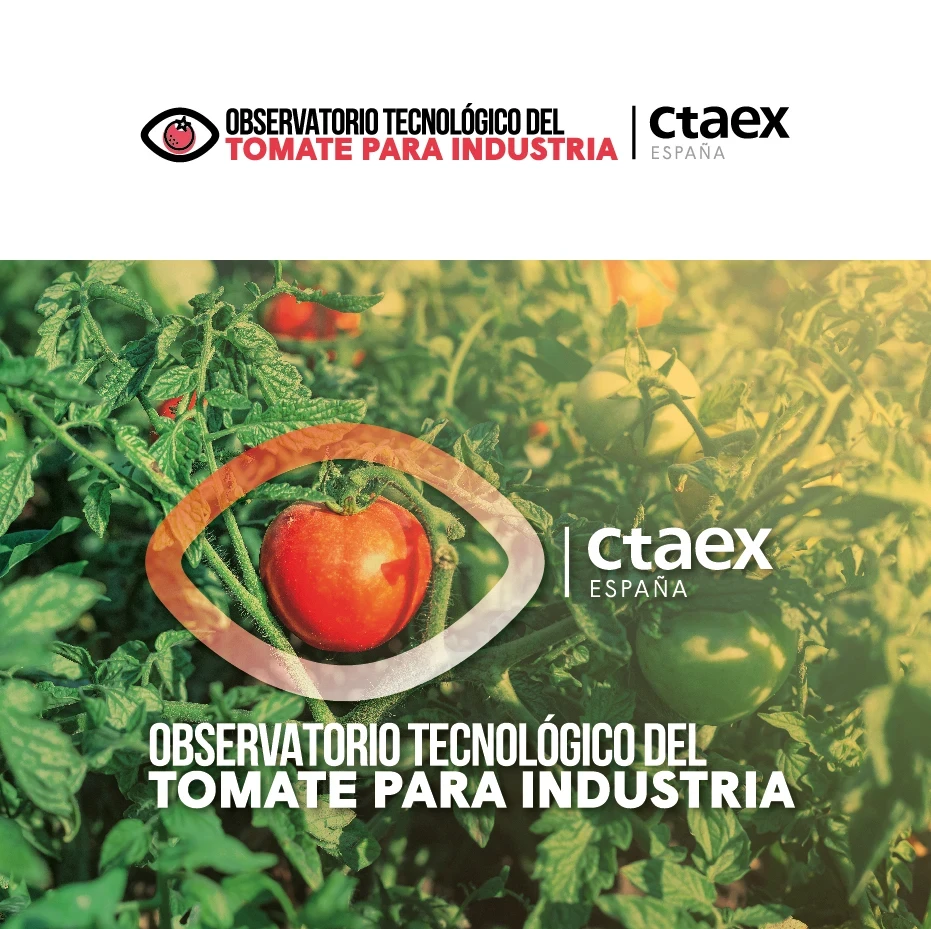 observatorio_tomate.jpg