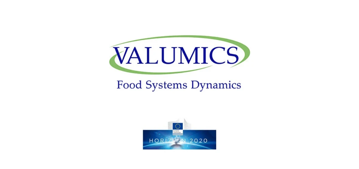 Valumics-2.png