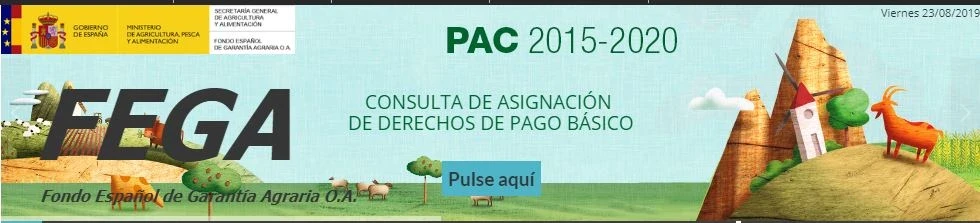 fega.jpg