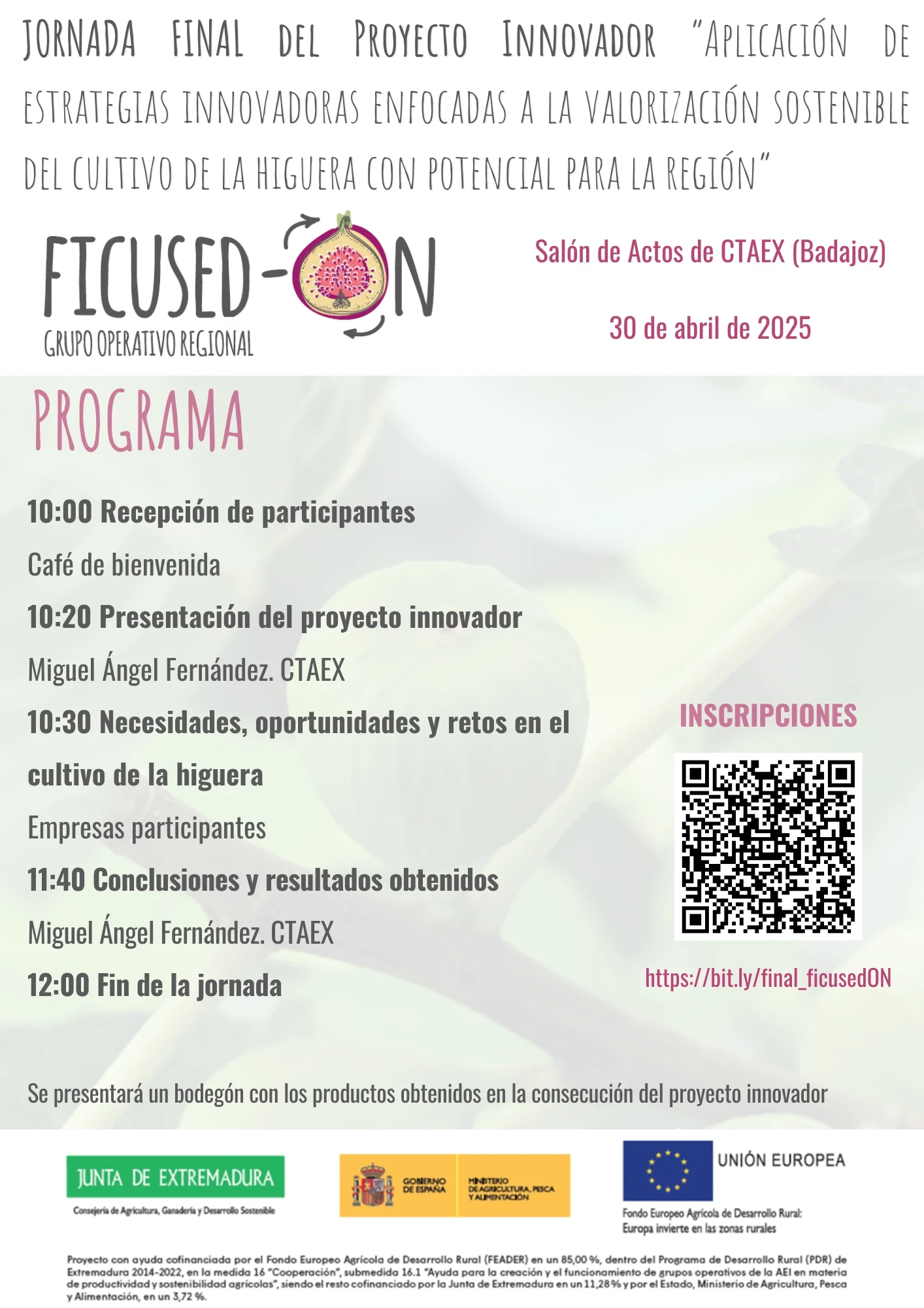 programa FICUSED-ON.png