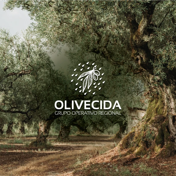 OLIVECIDA