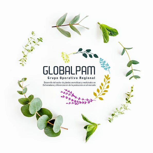 GLOBALPAM