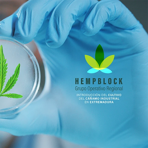 HEMPBLOCK