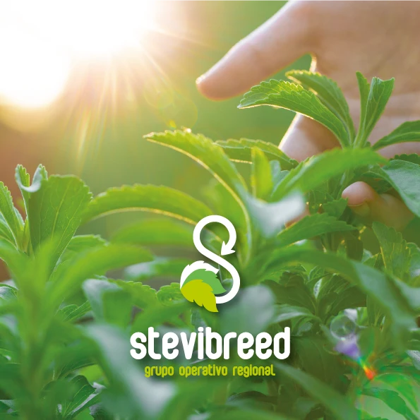 STEVIBREED