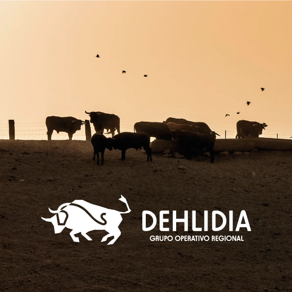 DEHLIDIA