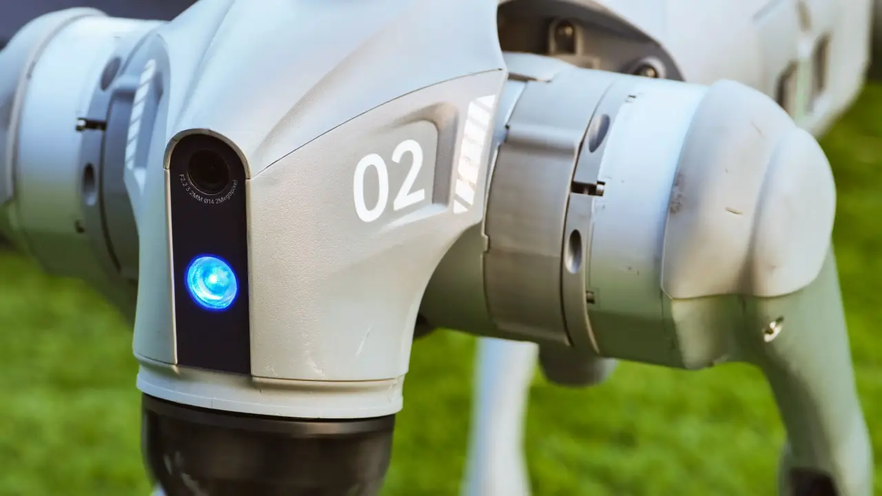 Robot cuadrúpedo en campo agrícola