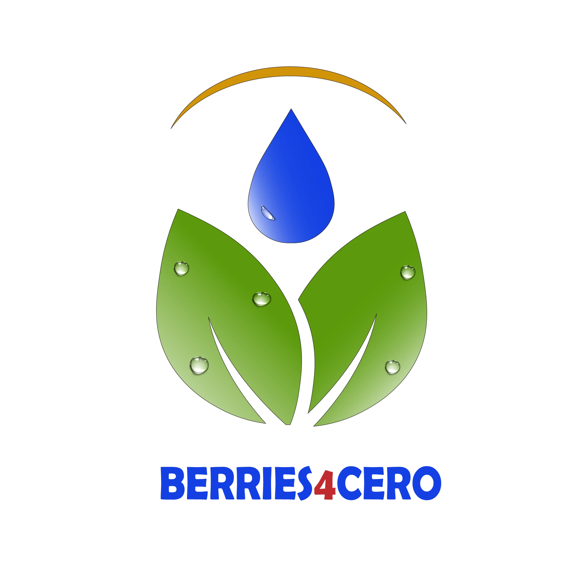 PNG BERRIES4CERO.png
