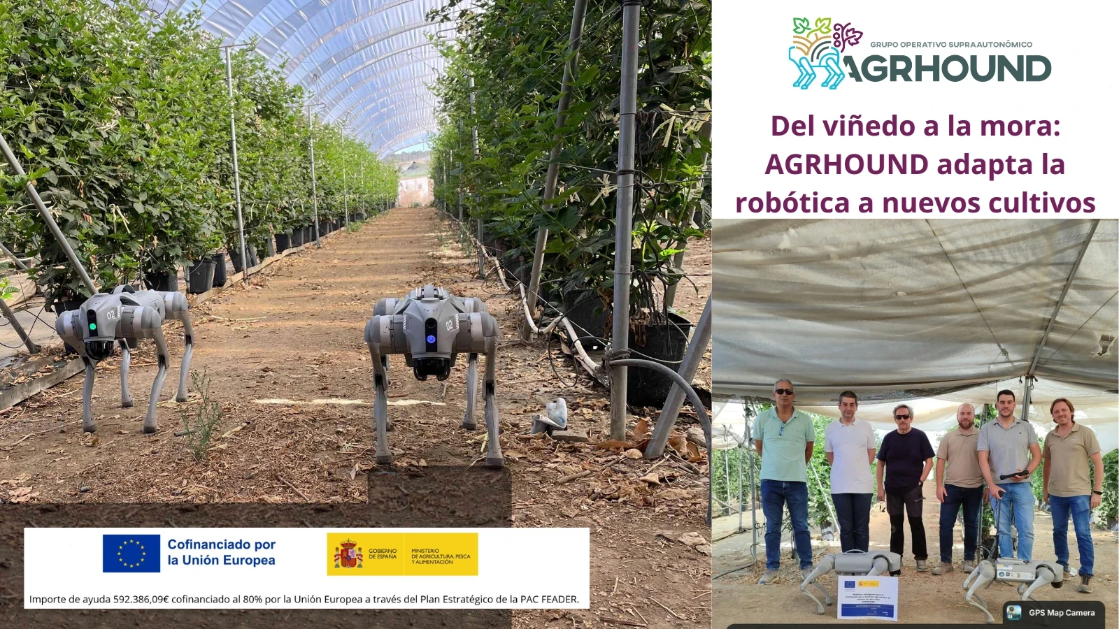 En Social Berries - 24sep2026.png