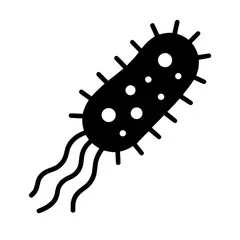 escherichia-coli.webp