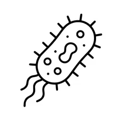 salmonella.webp