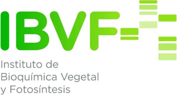 logotipo-G.png