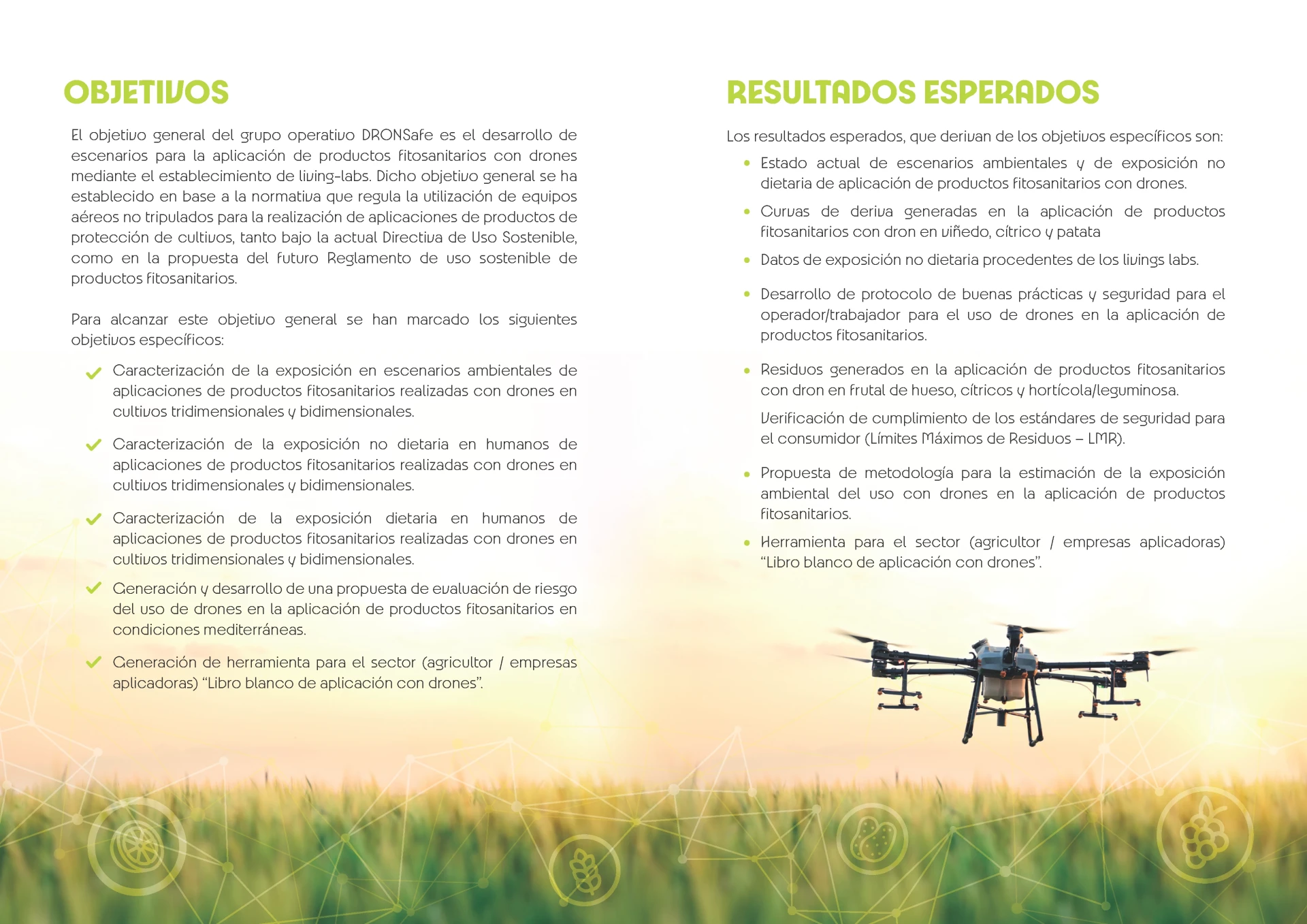 diptico dronsafe opt_Página_2.png