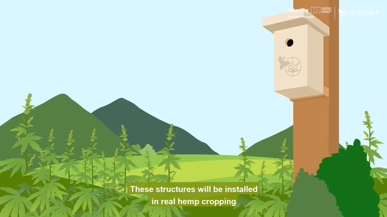 portada BGREENER sub EN.png