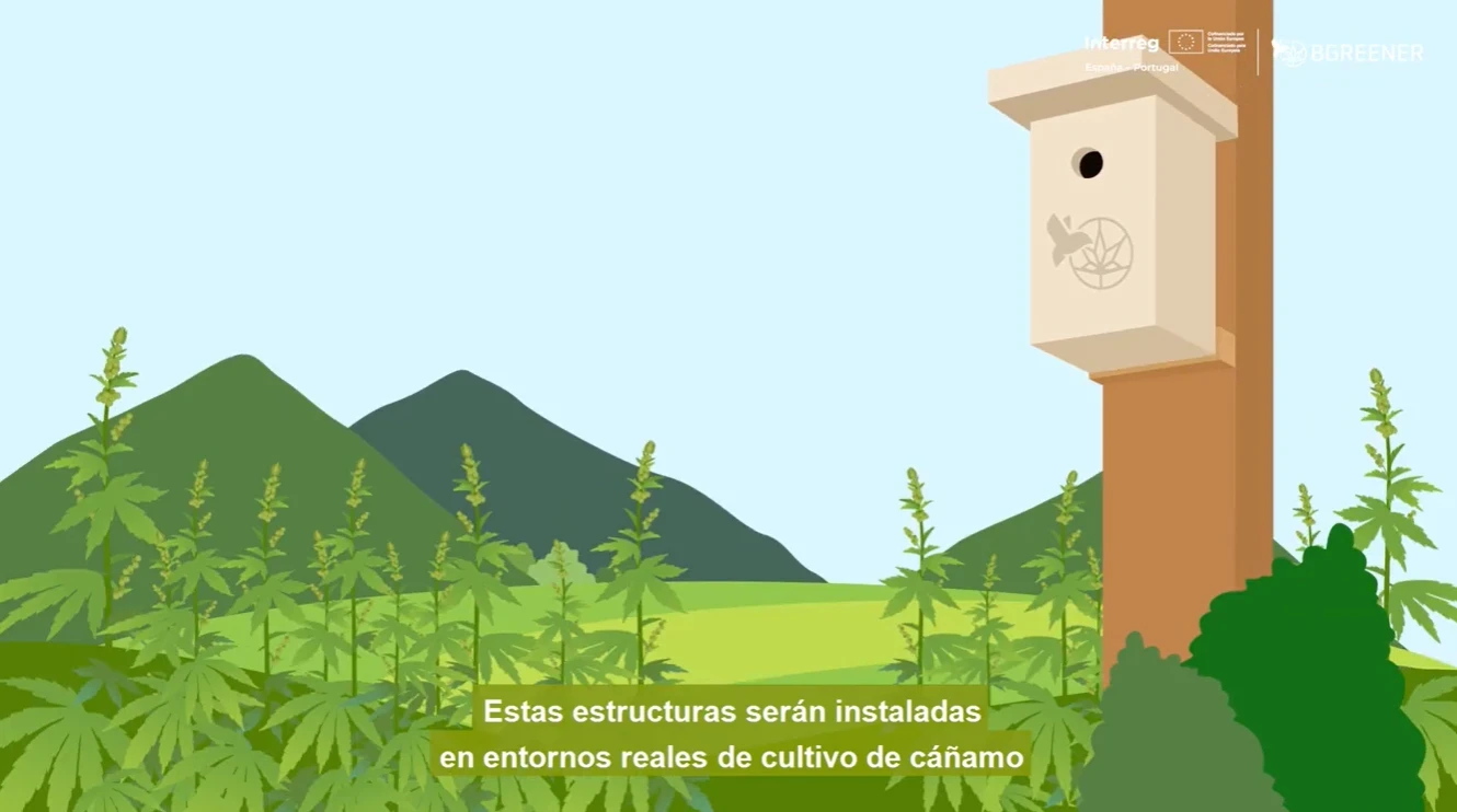 portada BGREENER sub ES.png