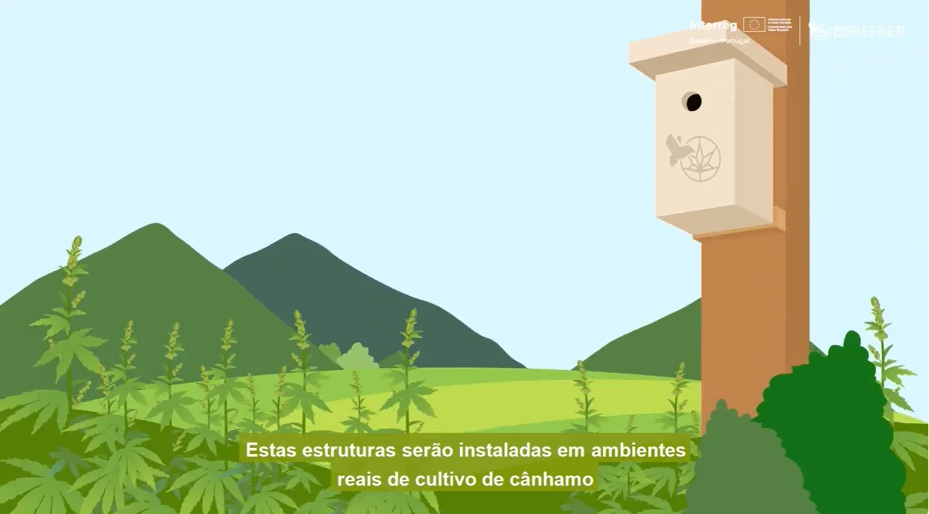 portada BGREENER sub PT.png