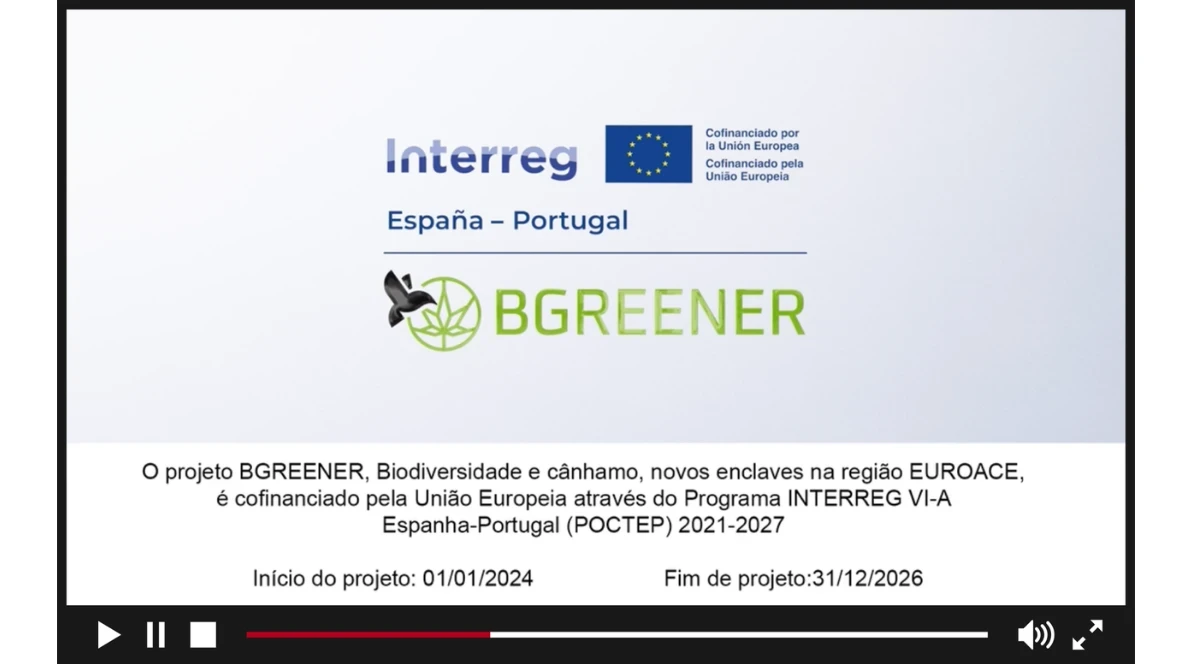 portada video ytb PT.png