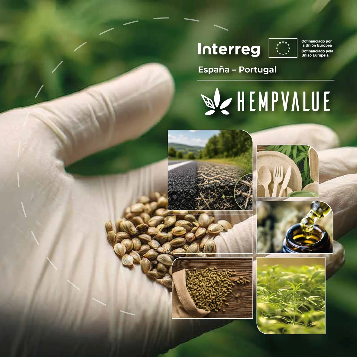 Identidad Hempvalue opt.jpg