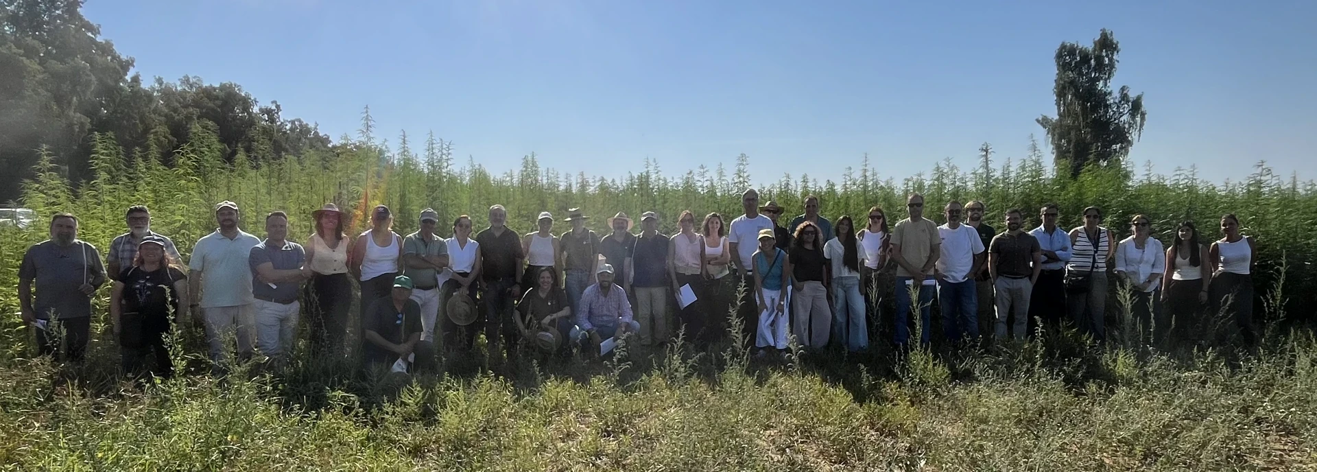 26 07 01 J campo HV grupo