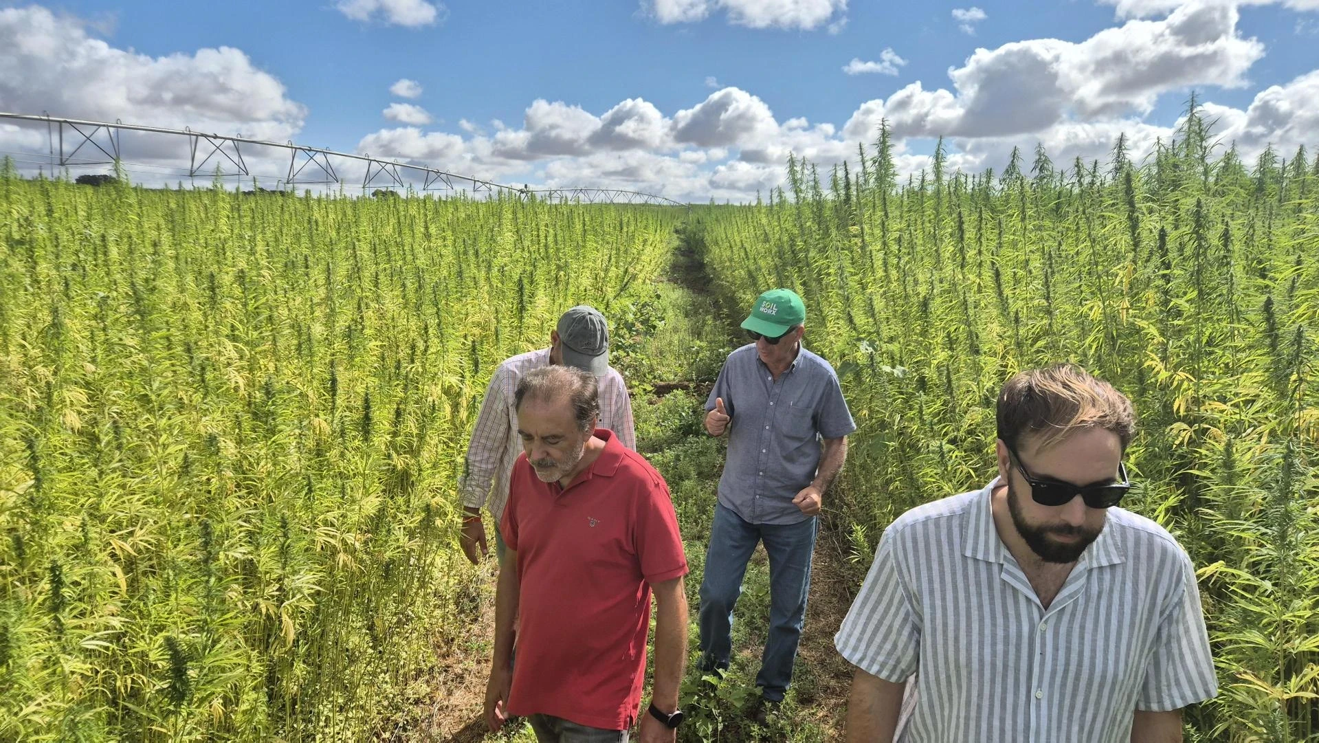 26 08 04 Visita campos canhamor 1.jpg